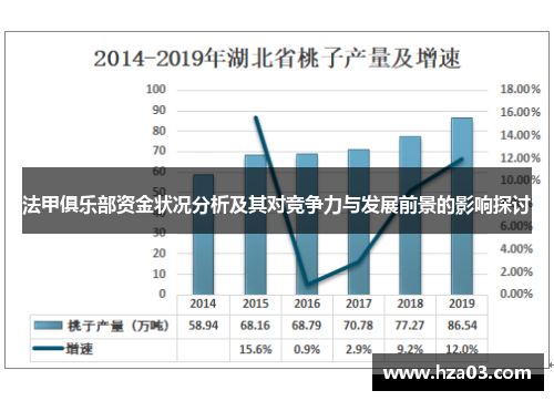 法甲俱乐部资金状况分析及其对竞争力与发展前景的影响探讨