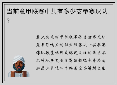 当前意甲联赛中共有多少支参赛球队？