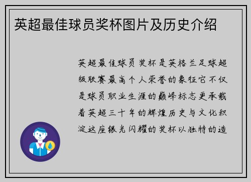 英超最佳球员奖杯图片及历史介绍